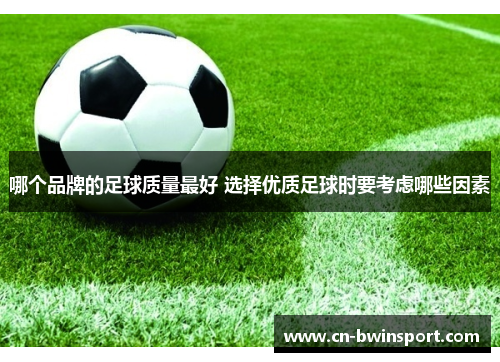 哪个品牌的足球质量最好 选择优质足球时要考虑哪些因素