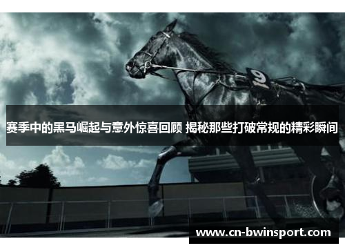 赛季中的黑马崛起与意外惊喜回顾 揭秘那些打破常规的精彩瞬间